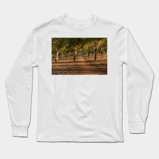 Canberra Cork Plantation 07 Long Sleeve T-Shirt